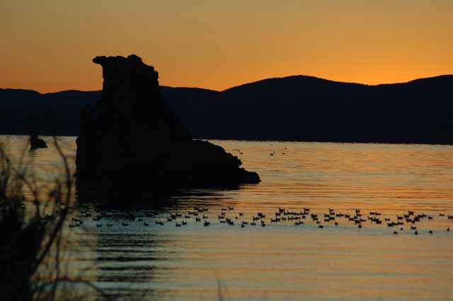 Mono Lake